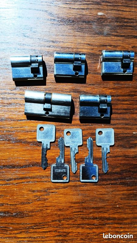 Ensemble 10 Cylindres Serrures à Clé Enfichables Système STS ZADI Rouges - Caravane Camping-Car