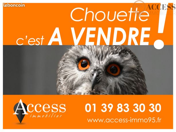 https://img.leboncoin.fr/api/v1/lbcpb1/images/a9/ab/50/a9ab506563d91d0c02d58e8def6b3b458f6170cf.jpg?rule=ad-image