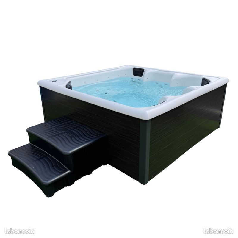 Spa 2 Ă 6 places & Spa de Nage đ«đ·â â«ââźââ«âźââŻâźââââ â« (image 1)