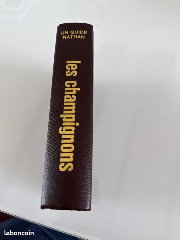 Un Guide Nathan sur les champignons couverture marron (image 6)