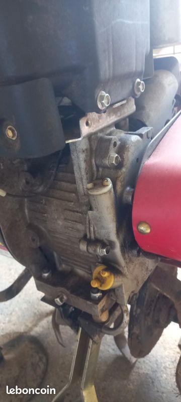Motoculteur thermique Briggs & Stratton 800 Series (image 8)