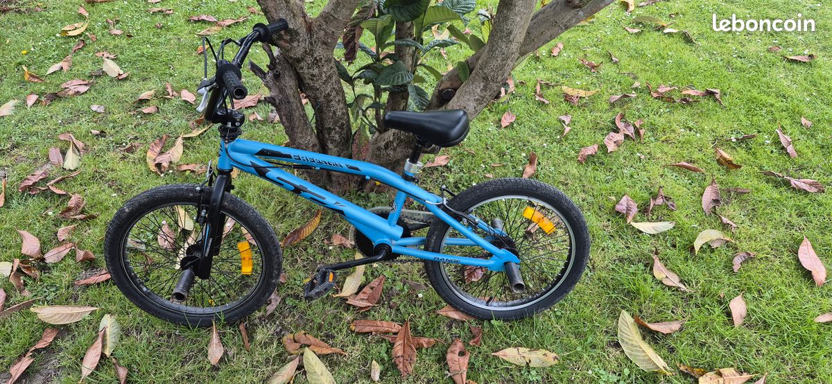Bmx freestyle (image 2)