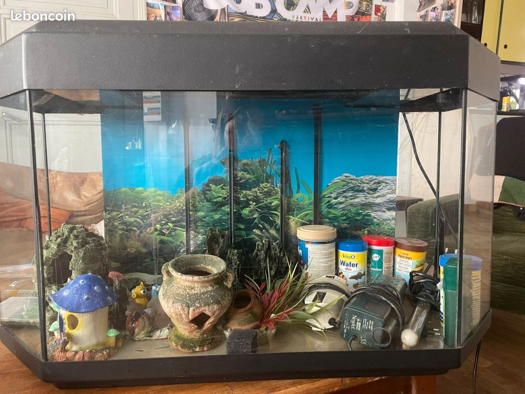 Aquarium (image 1)
