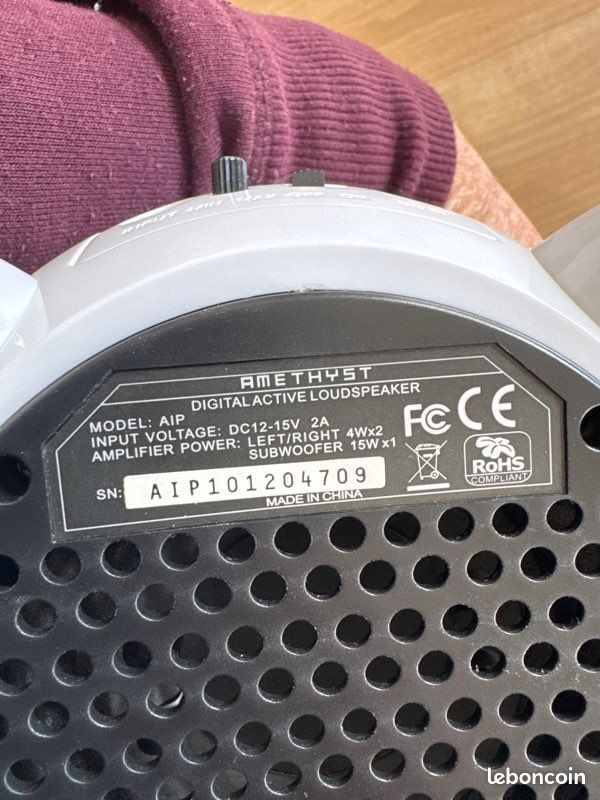 Enceinte cochon (image 4)