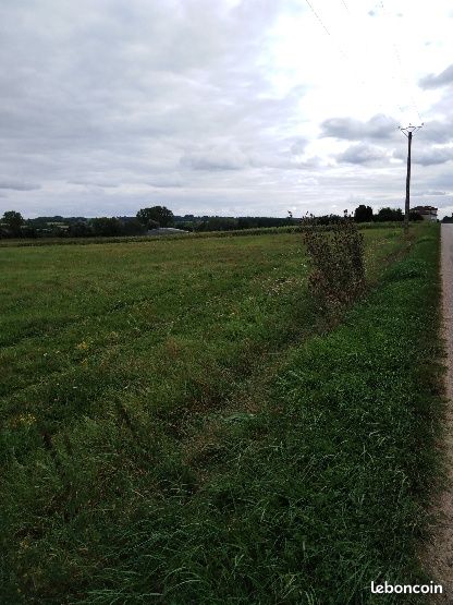 Parcelle de terre agricole