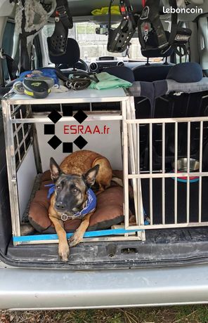 Cage Caisse Transport Chien XXL DOUBLE + Séparation / ESRAA.fr 