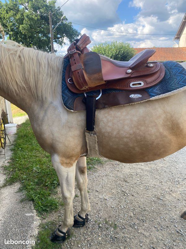 Randonnée à cheval - Bruniquel (P0505) - CMCAS TOULOUSE