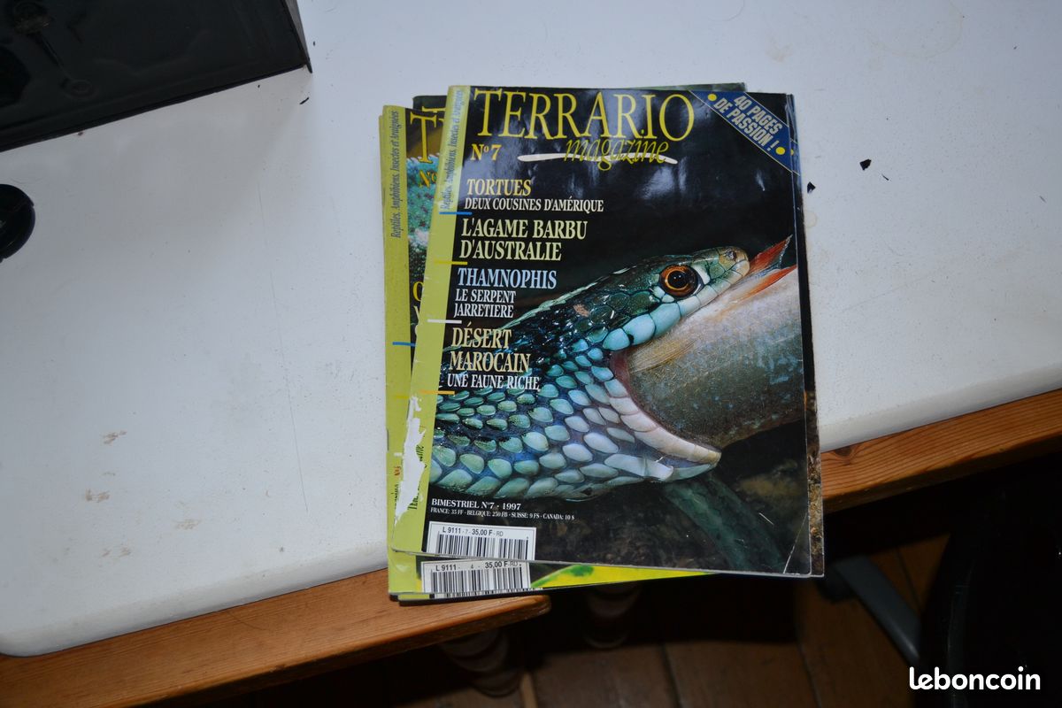 Terrario magazine n°7 (image 1)