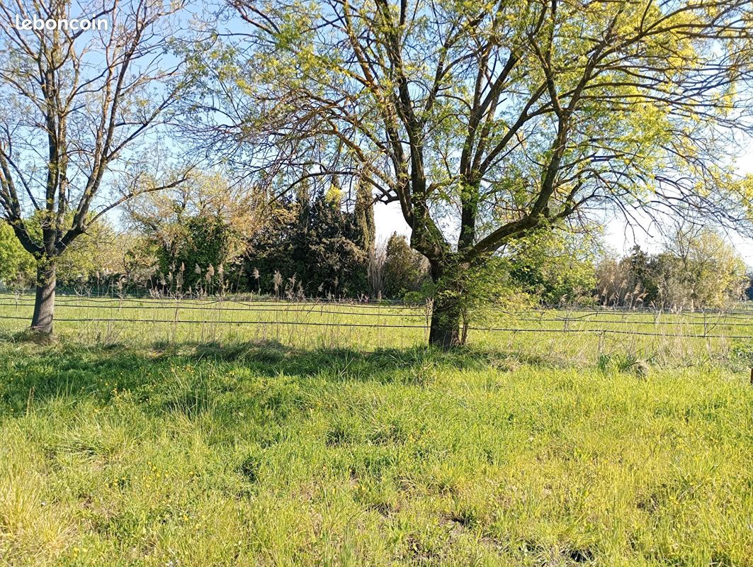 Terrain 2500 m² · à Le Pradet · 2 500 m² · 149 000 €