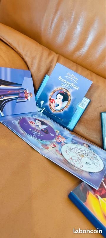 Lot DVD Disney Classiques (image 7)