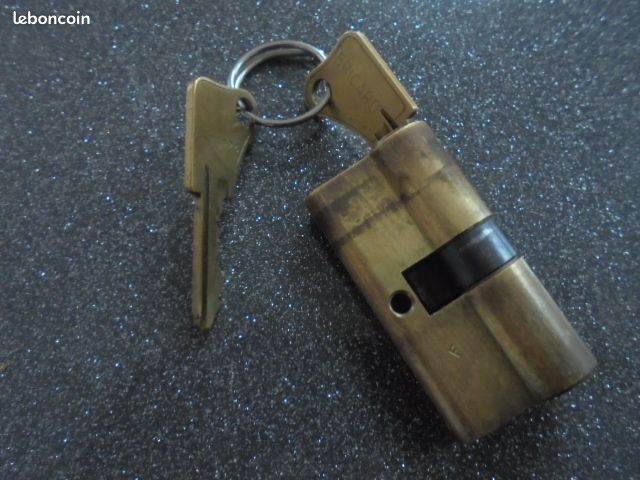 Barillet cylindre "bricard" 2 entrees 6cm (image 1)