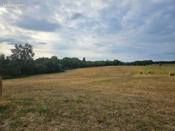 Terrain 46160 m² Coutures
