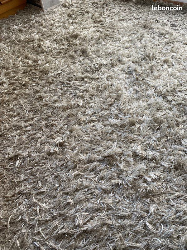 Tapis roche bobois (image 1)