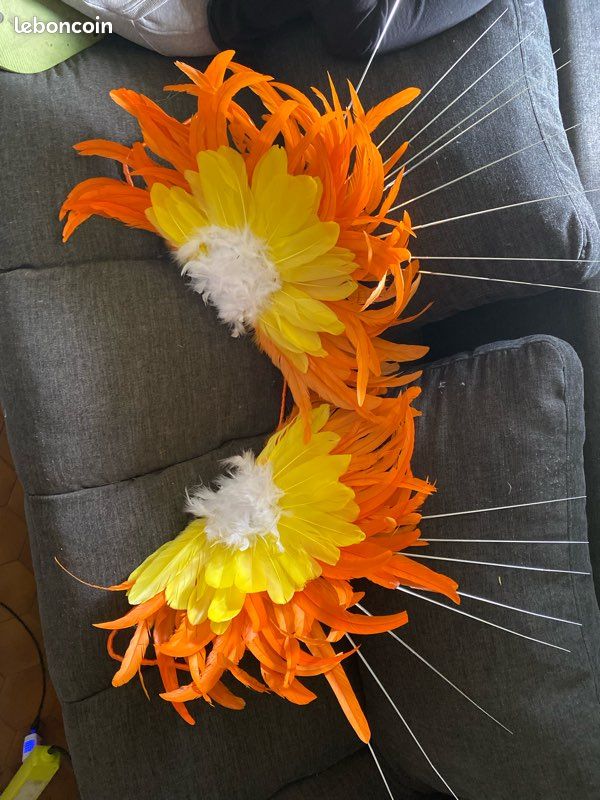 Costume de samba (image 3)