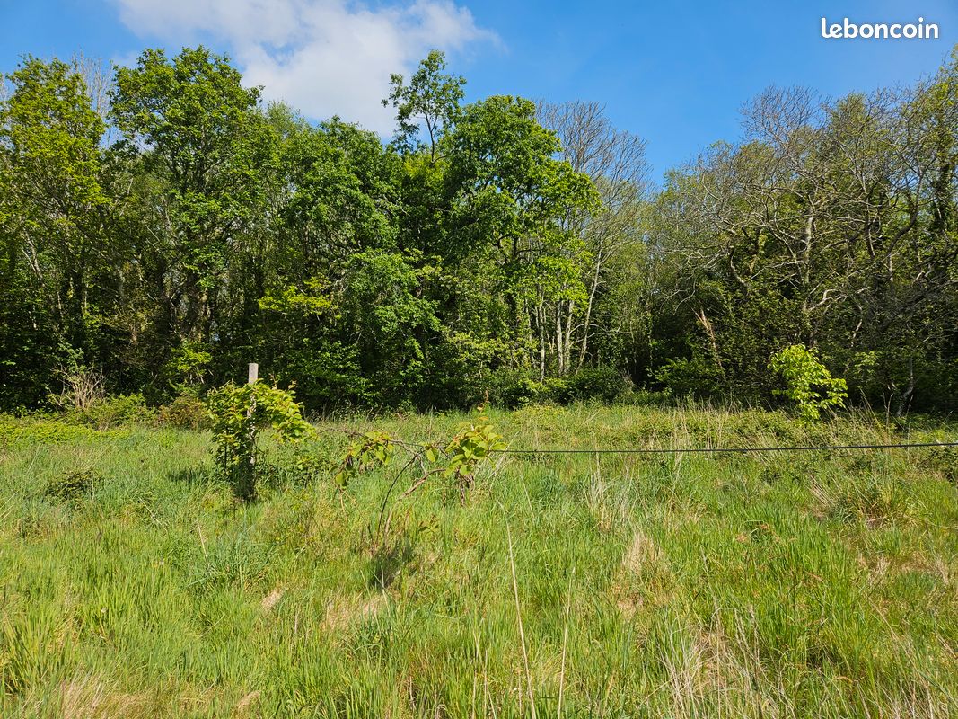 Terrains 3,1 ha – parcelle agricole et parcelle zone boisée classée en lot – compteur eau potable – discret et tranquille · à
