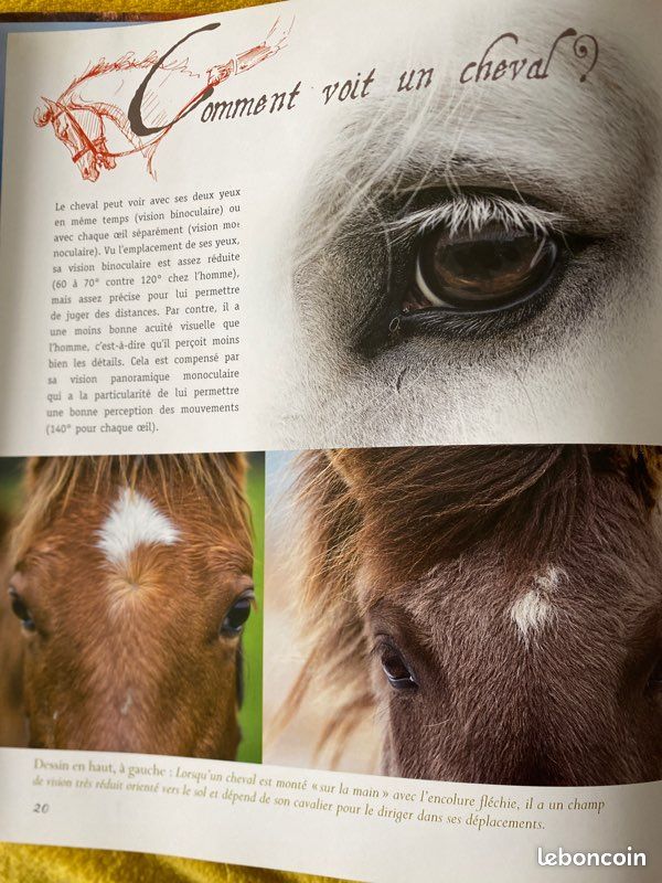 Livre connaître le cheval et aimer l’équitation édition. Ouest France (image 5)