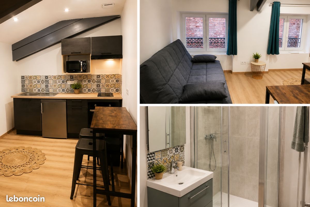Appartement 1 pièce 22 m² · à Saint-Étienne · 22 m² · 400 €