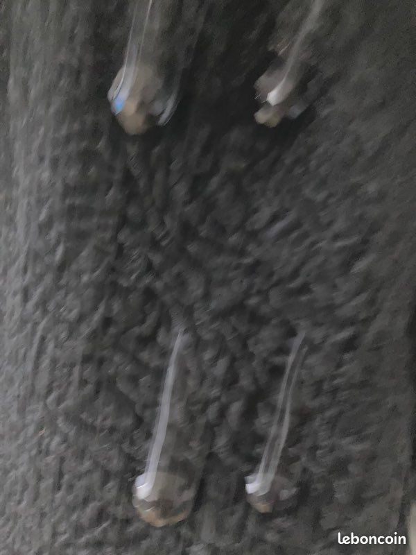 Manteau Astrakan (image 7)
