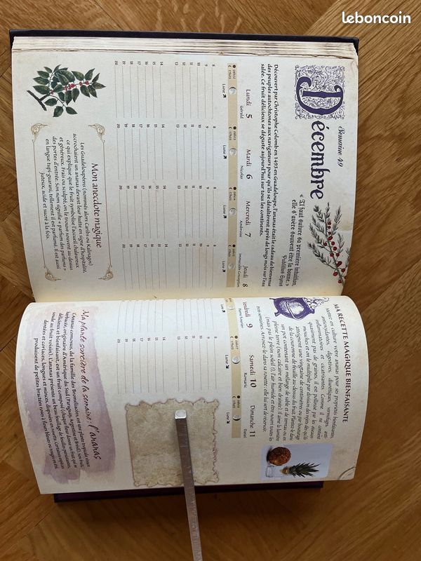 ''Mon Agenda de Sorcière 2022'', M. D'Hennezel, Rustica Éditions (image 9)