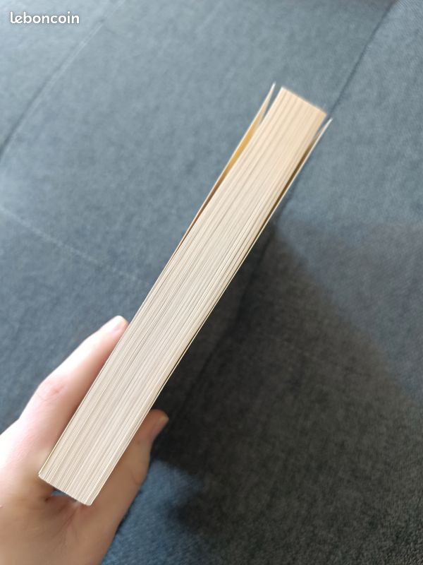 Le livre des illusions - Paul Auster (image 4)