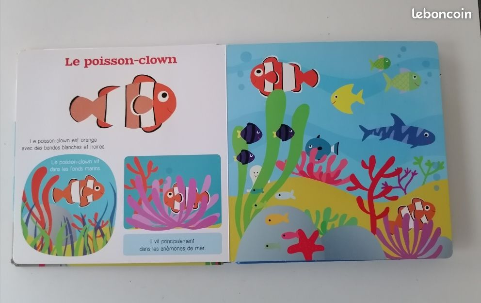 Les animaux de la mer (image 4)