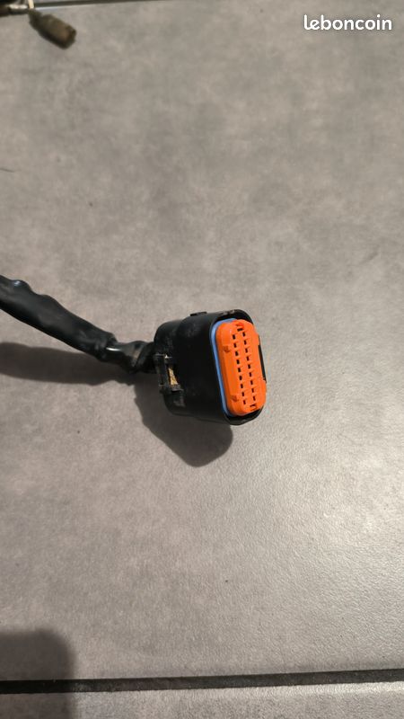 Faisceaux électrique sxf 250 excf 250 (image 2)