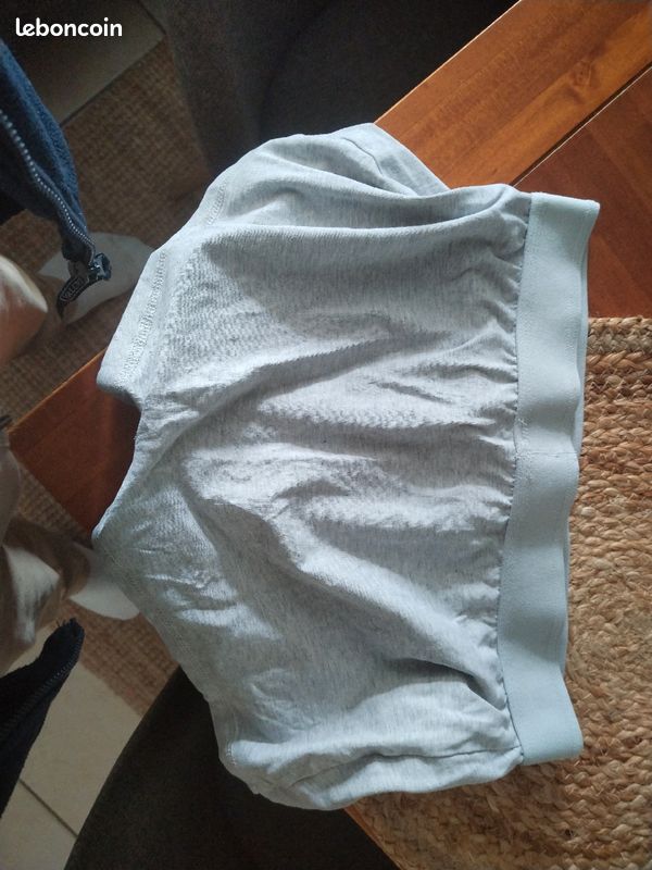 Boxer (image 2)