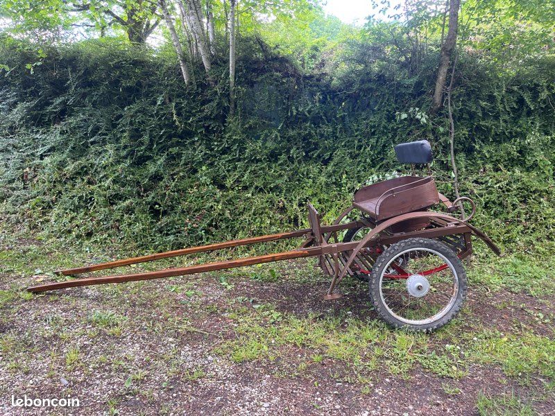 Calèche hippomobile (image 1)