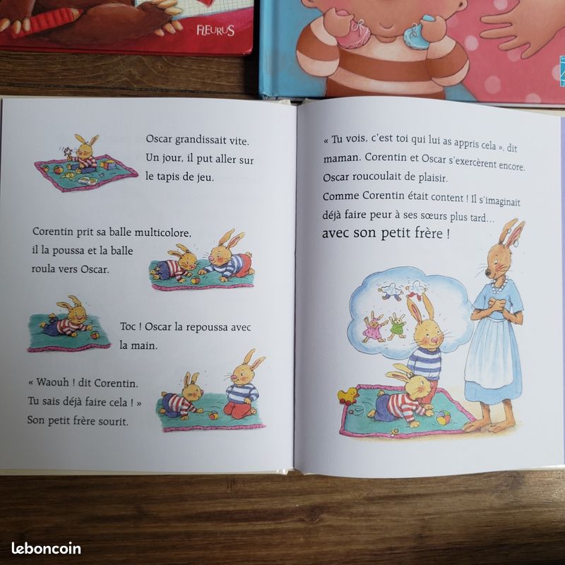 5 ouvrages littérature de jeunesse thème famille, fêtes des mères/pères, arrivée petit frère/soeur (image 8)