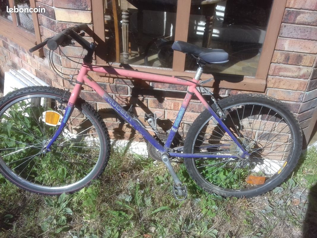 Vélo vtt (image 1)