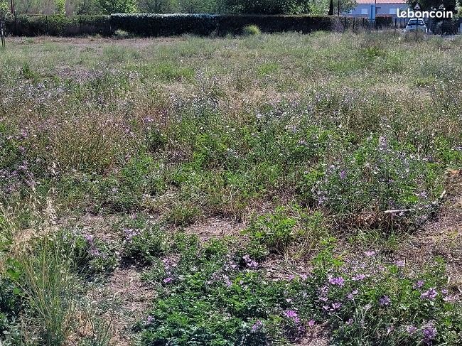 Terrain 323 m² Latour Bas Elne · à Latour-Bas-Elne · 119 000 €