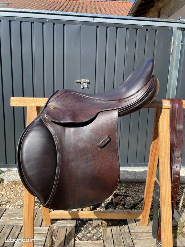 AIM-Selle, bridon et col de poitrine Cuir véritable 12 po