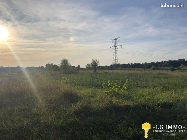 Terrain 1643 m² Bois