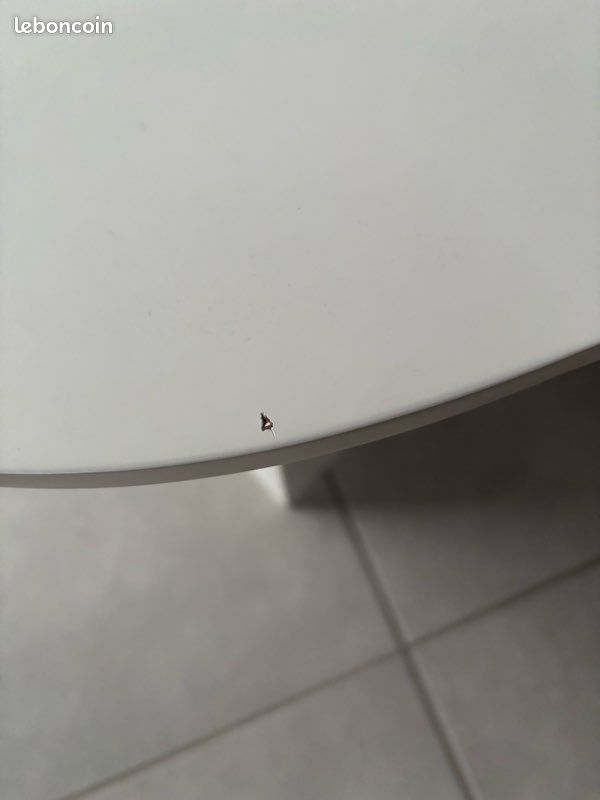 Table basse (image 4)