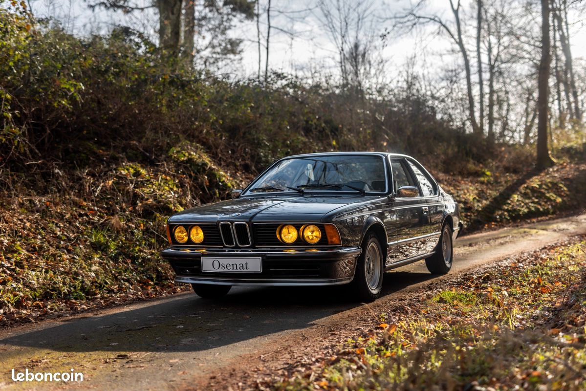 BMW 635 CSI 1 er serie même propriétaire depuis 1979 106500kms d origine (image 2)
