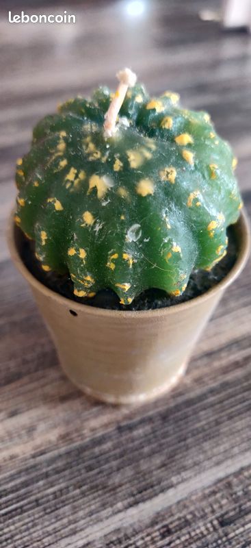 Bougie cactus neuve dans petit pot taupe 1.5 euro (image 1)