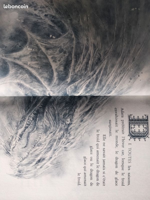 Livre Dragon de Glace - George R.R. Martin Illustré par Luis Royo (image 4)