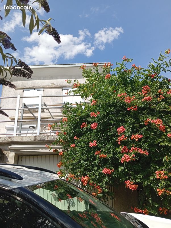 Maison 5 pièces 75 m² · à La Meilleraie-Tillay · 75 m² · 105 000 €