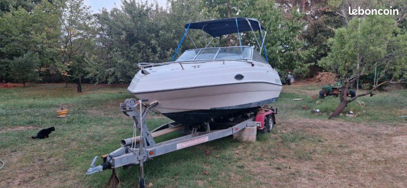 Four Winns Sundowner 195 – Johnson 175 CV – Remorque double essieu (image 1)