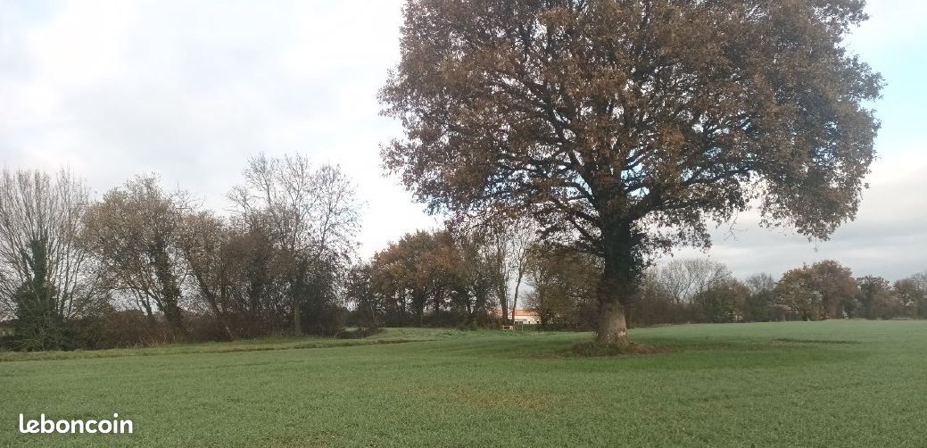 Terrains viabilisés · à Vendrennes · 40 000 €
