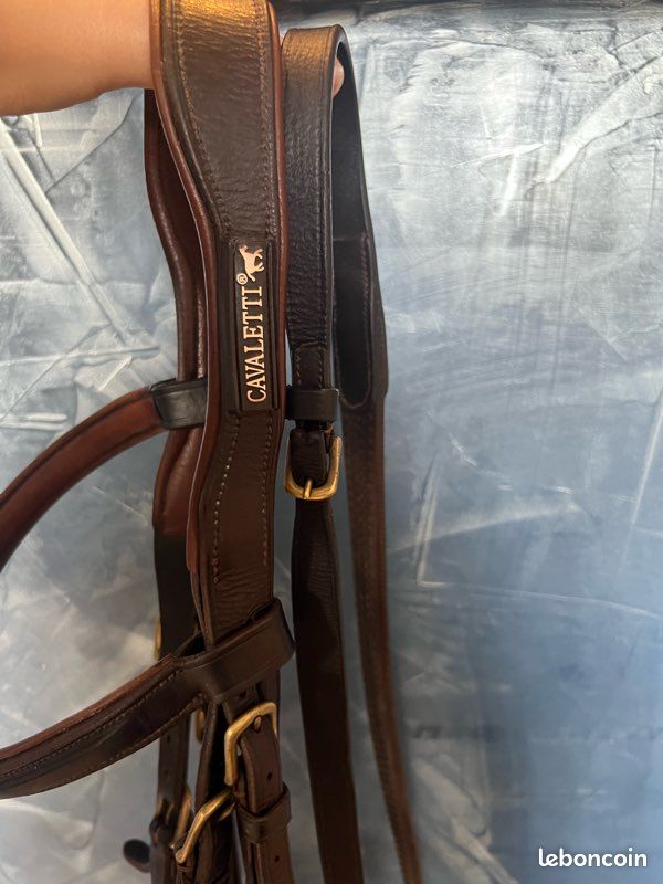 Assiette Poitrine Cuir Marron Foncé Pour Cheval - Harnais Type Licol - Occasion