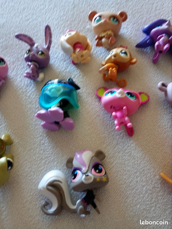 Petshop (image 3)