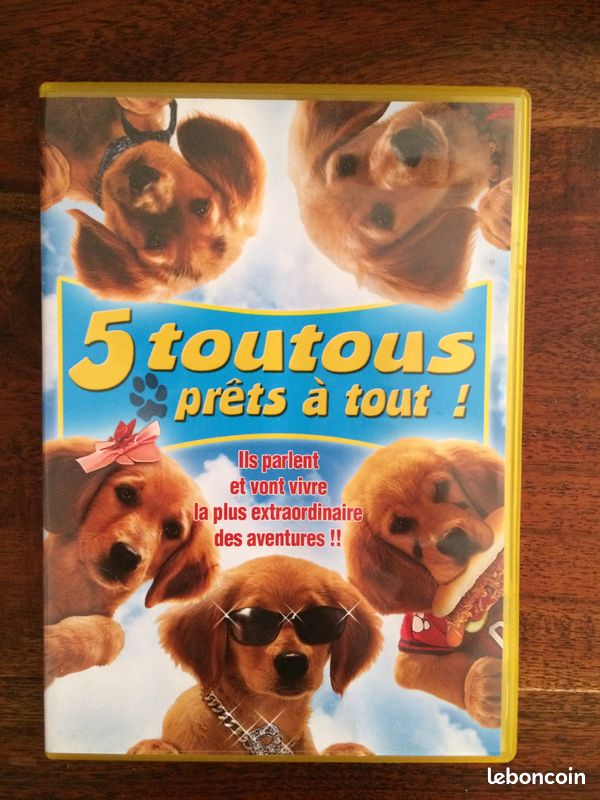 DVD 5 toutous prêt a tout (image 1)