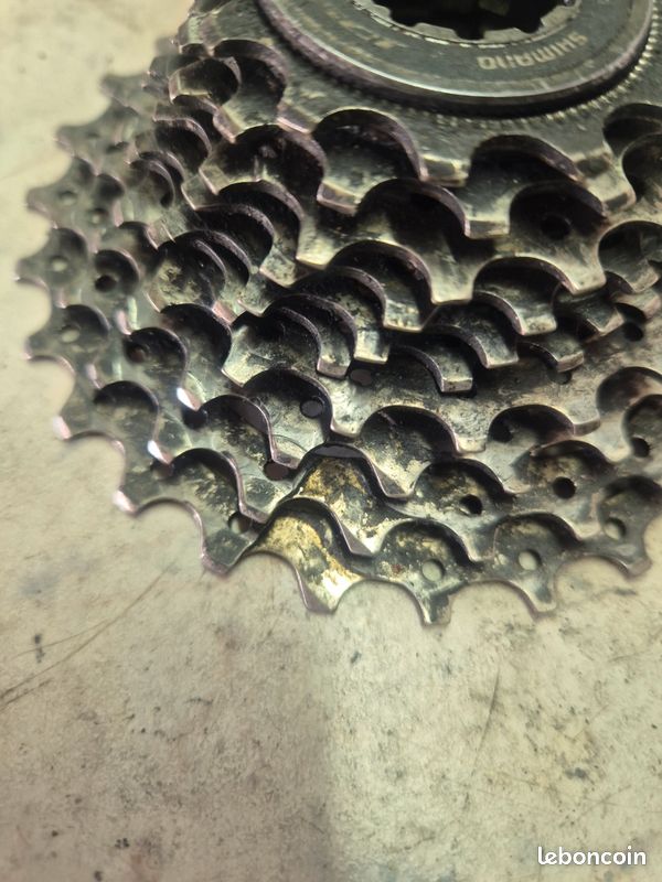 Shimano 105 R7101 Cassette silver 12 (11-34) au meilleur prix sur