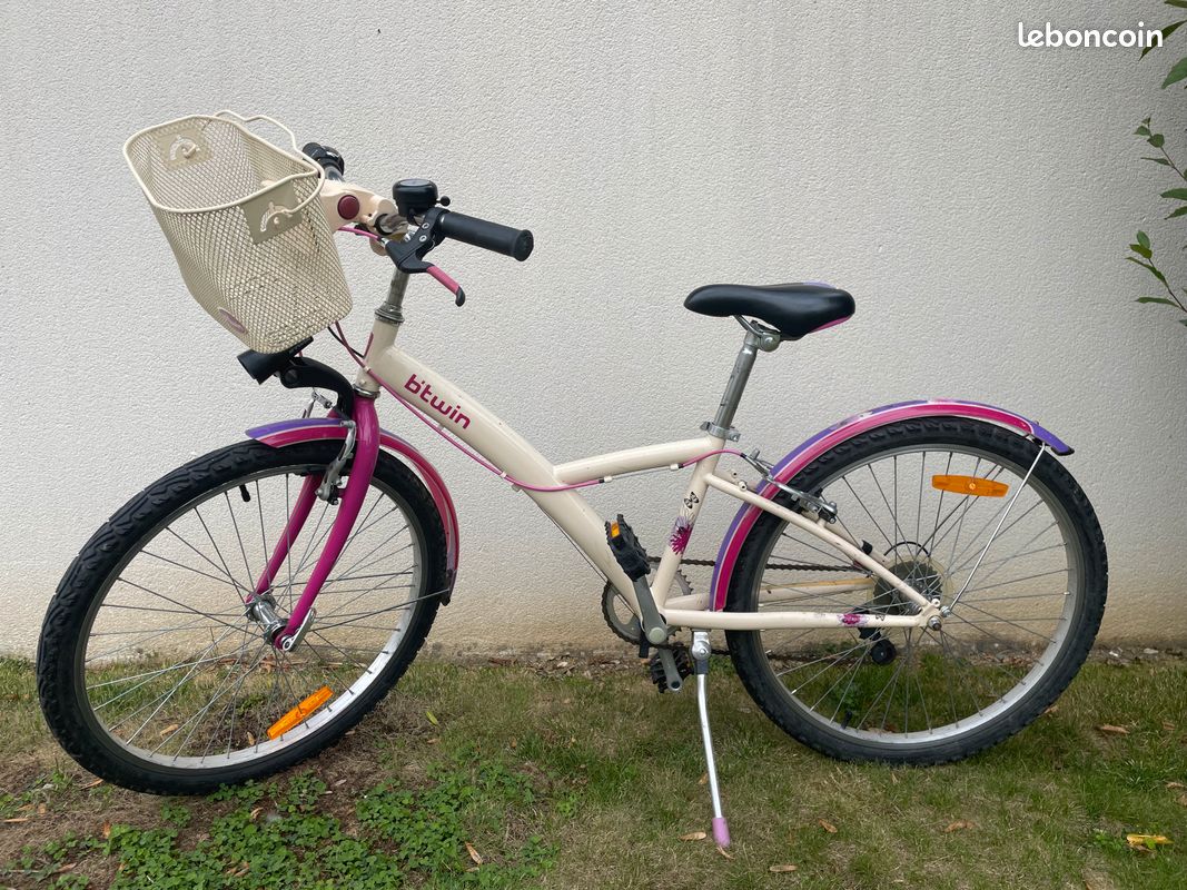 City Bike Bicicletta Elettrica Per Obesi Triciclo Elettrico