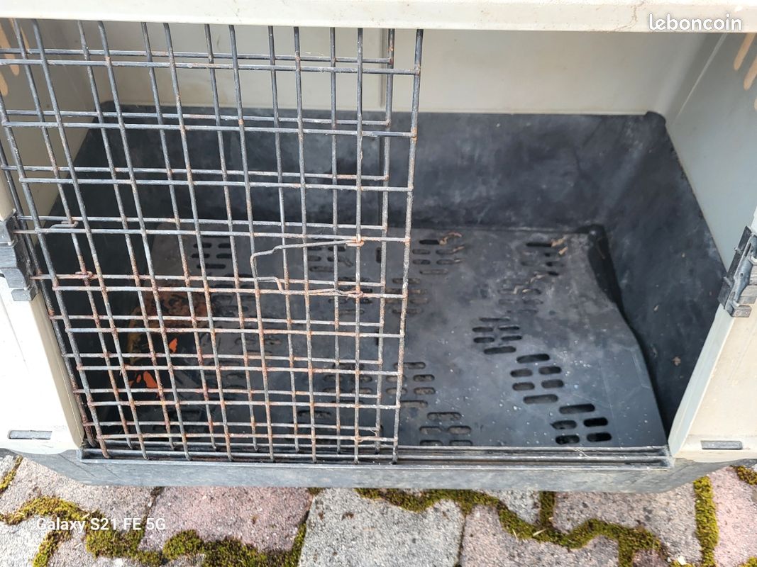 Cage de transport pour chien – 40 à débattre (image 3)