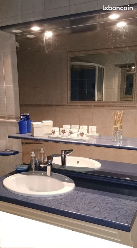Meuble sdb avec son lavabo,mitigeur et miroir ( plus 3 portes seules) (image 1)