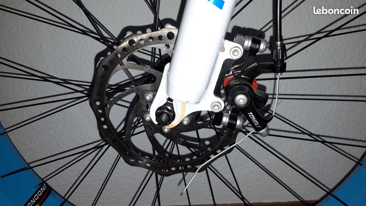 Fatbike Mountainbike (image 9)