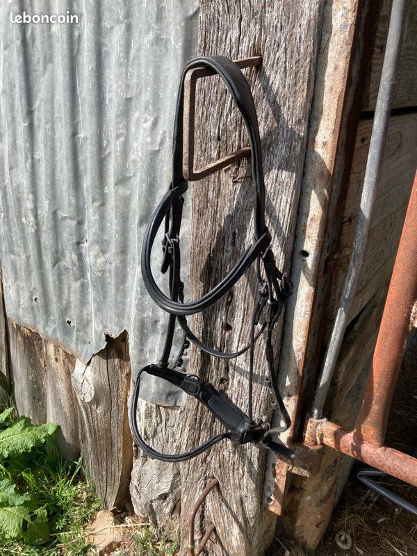 Bridon aim’horse (image 3)