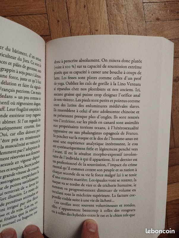 Papacito Expédition punitive (image 3)